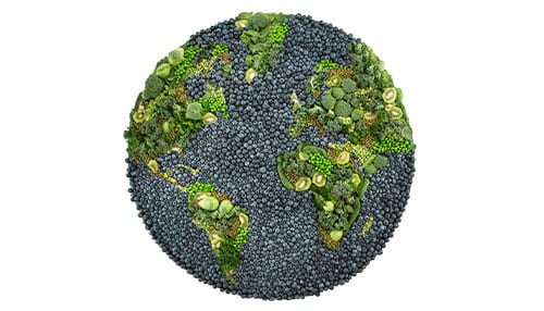 20984-Culture_Sustainability-img-4 Earth made out of produce