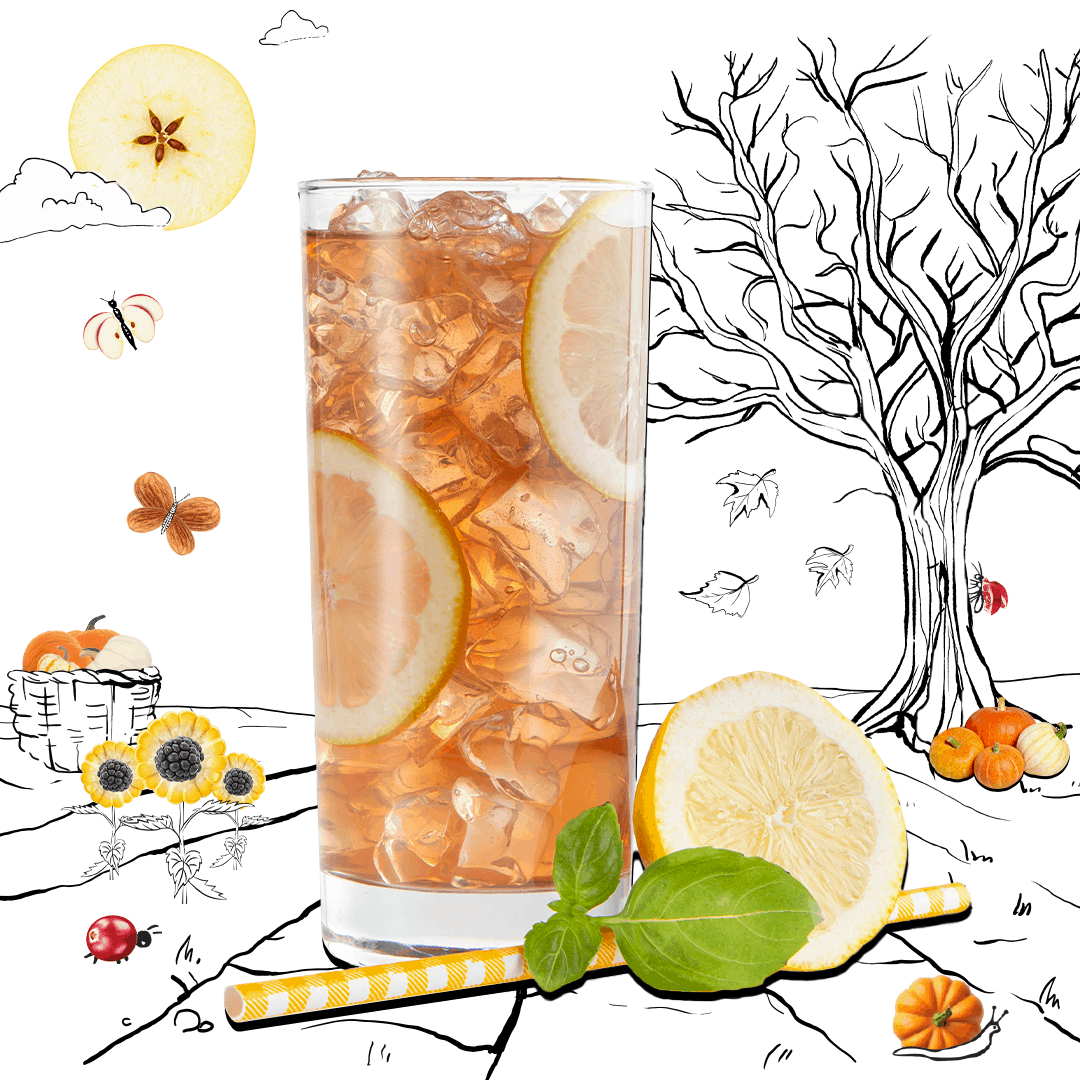 Black Elderberry Tonic Ice Tea Mocktail