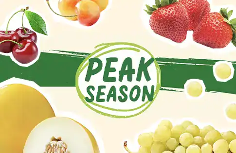 Peak Season Produce logo surrounded by produce.