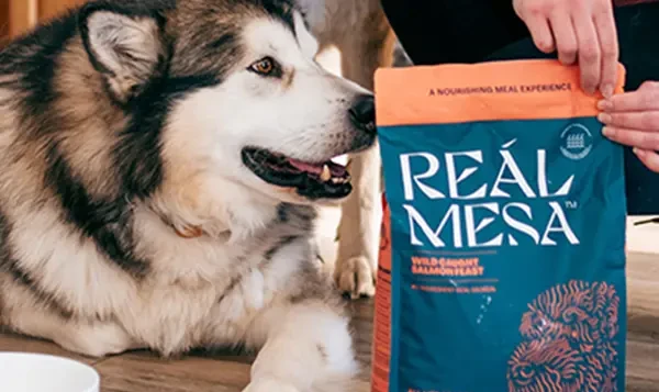 husky next to a bag of real mesa food